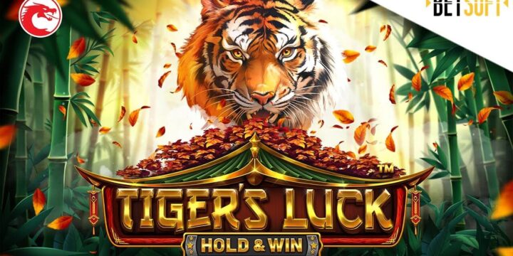 Tiger’s Luck Slot Game: Wild Nature Fortune